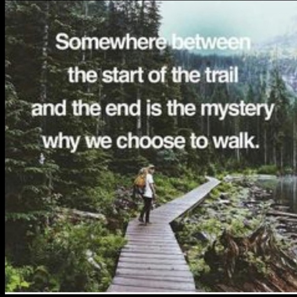 ⚜️ Vintage Needlepoint Victorian Green Pillow Luxurious - Picture 5 of 16